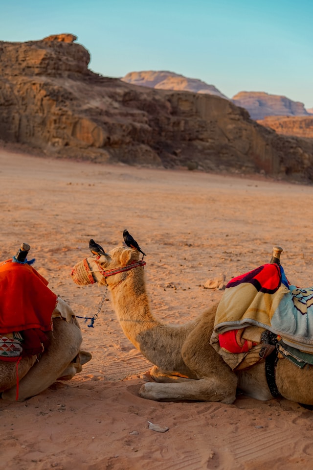 Middle East