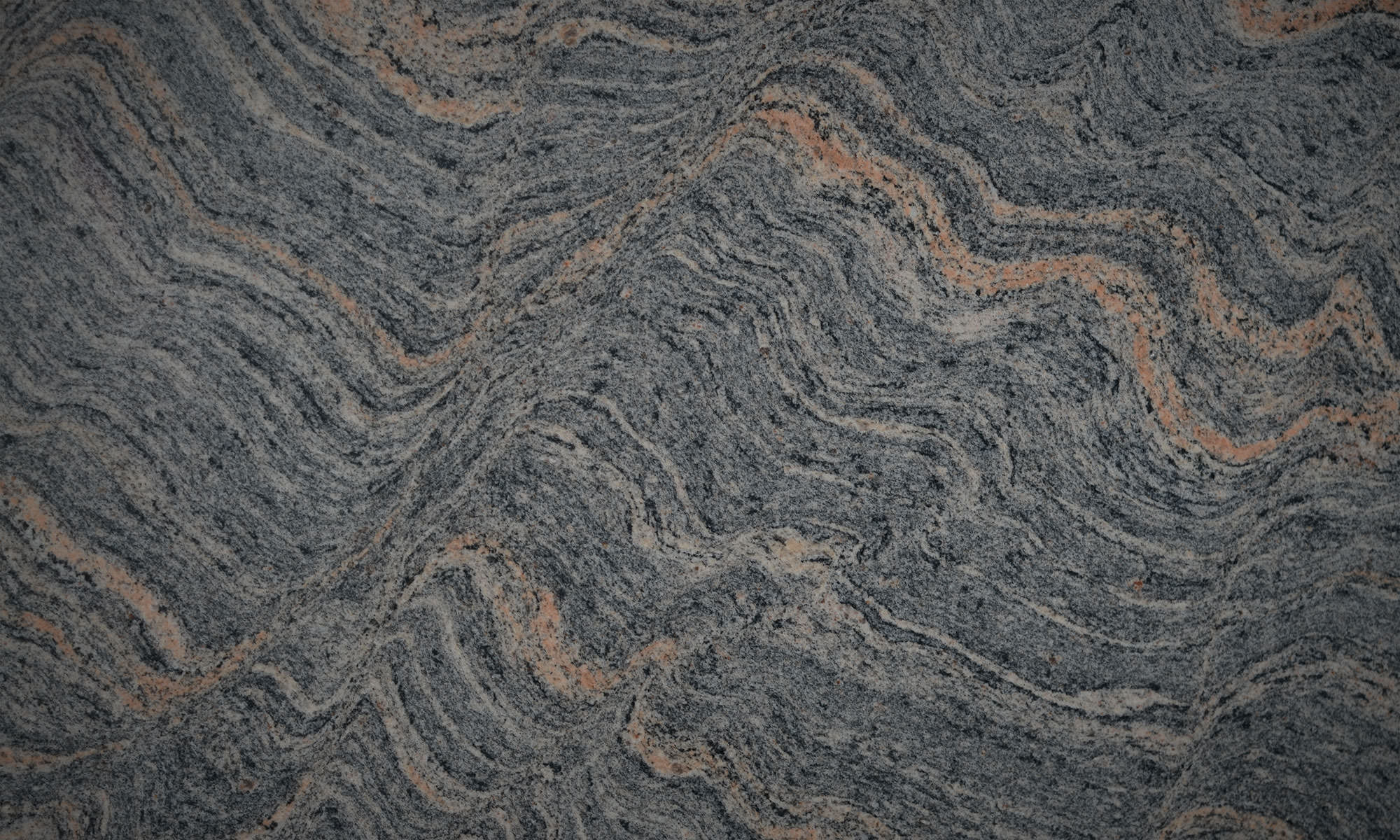 Bash Paradiso 1 mini